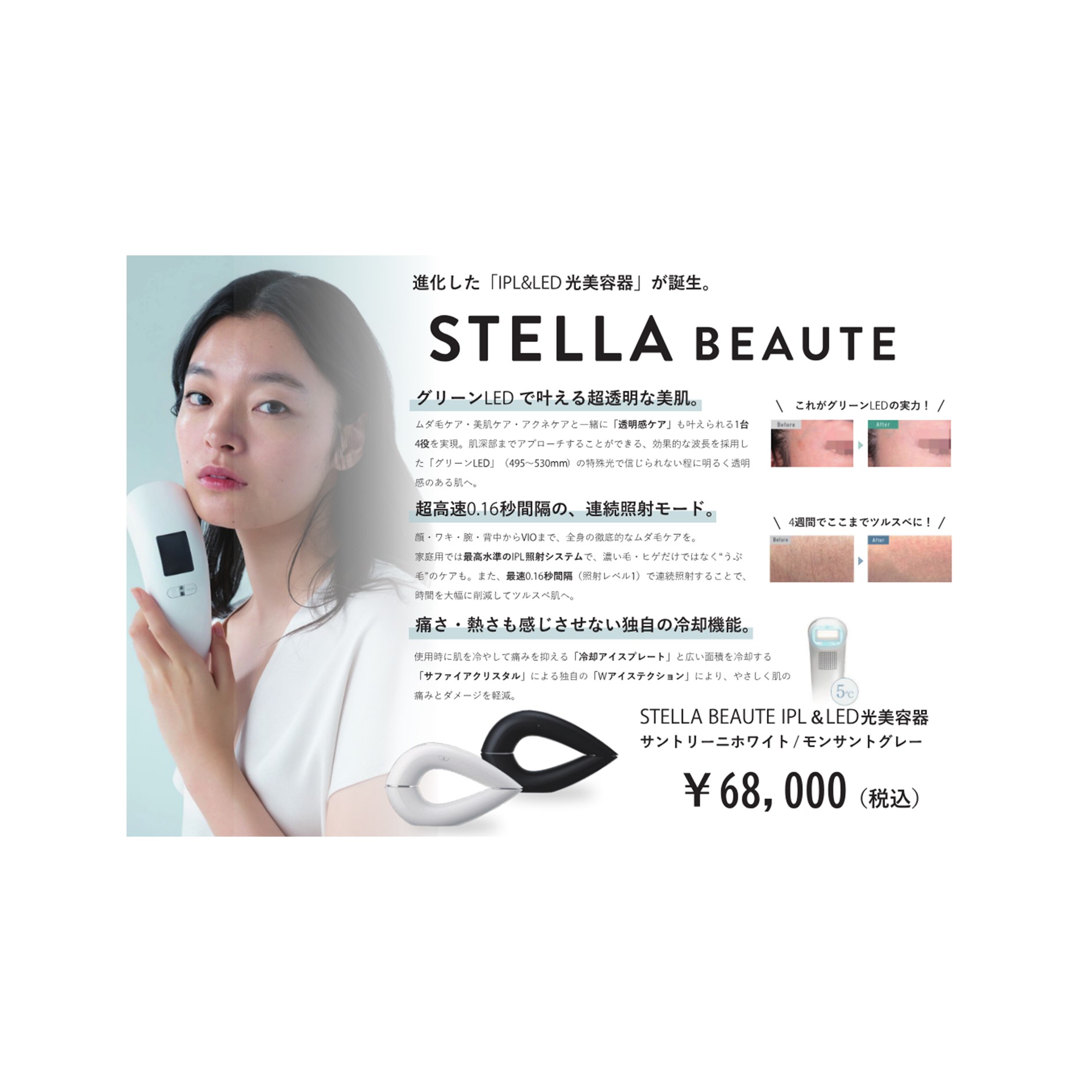 STELLA BEAUTE 2024 POP