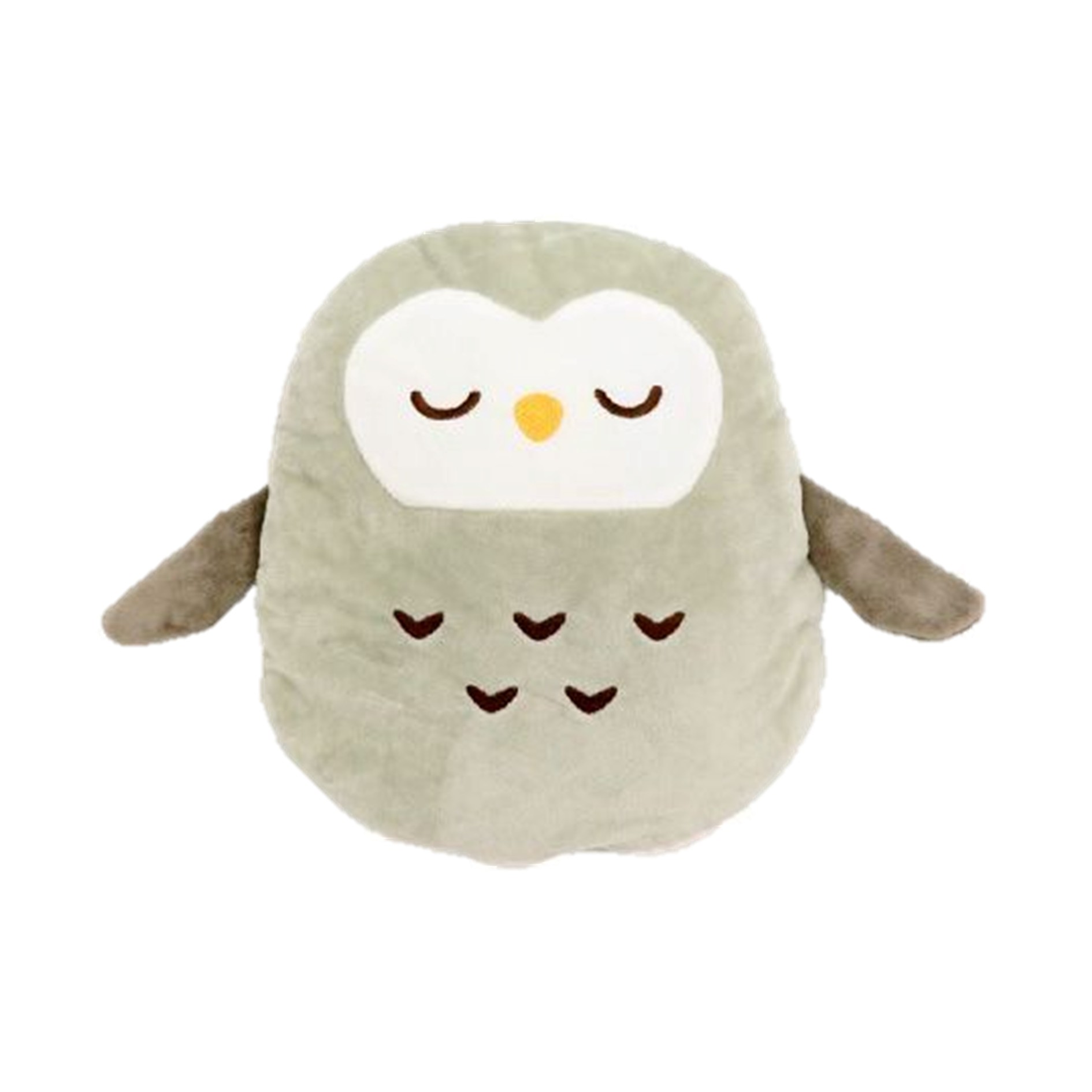 �~�M�� ������� �t�N���E