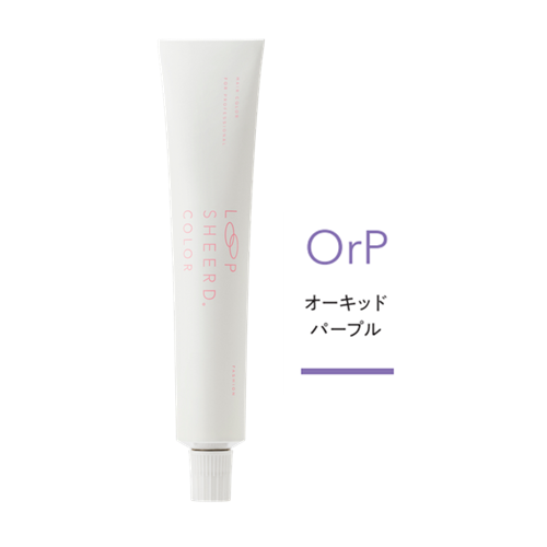 [vVA[hJ[ 9OrP