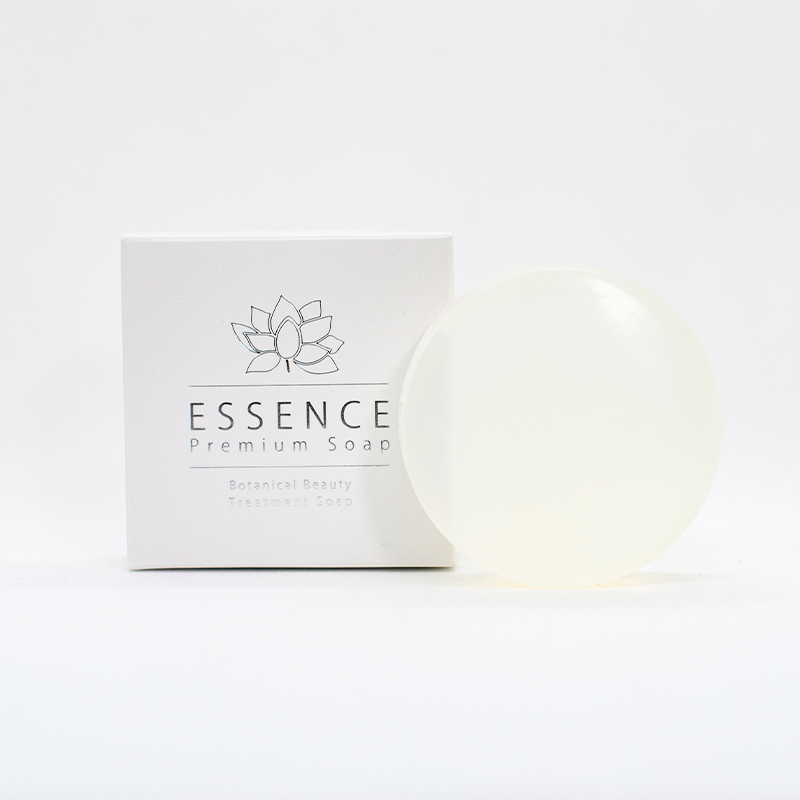 ESSENCE v~A\[v