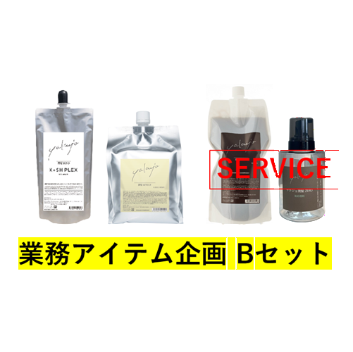 ヤクジョ 業務アイテム キャンペーン Bセット