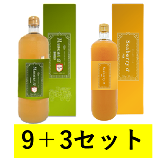 マスカット アルファ シールド サジー αフェール 各6本セット
