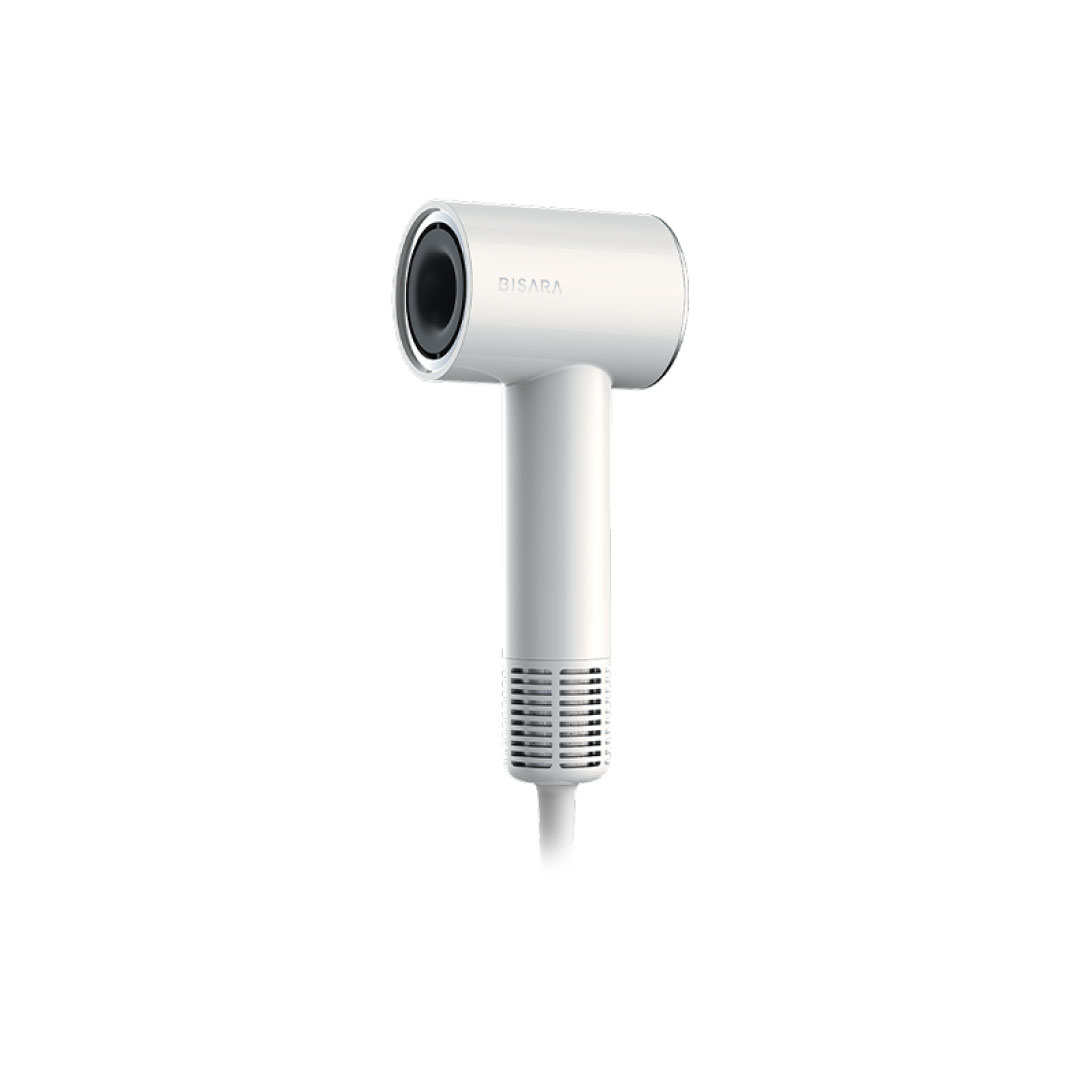 BISARA mini �z���C�g