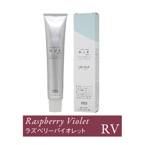 ヒュウ ミライ RV