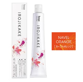 イロジカケ N OR 80g