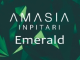 AMASIA INPITARI EMERALD